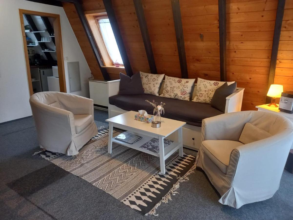 Gemuetliches Ferienhaus Mit Sonniger Terrasse Frankenwald Naehe Badesee Smart-Tv Lichtenberg  Buitenkant foto
